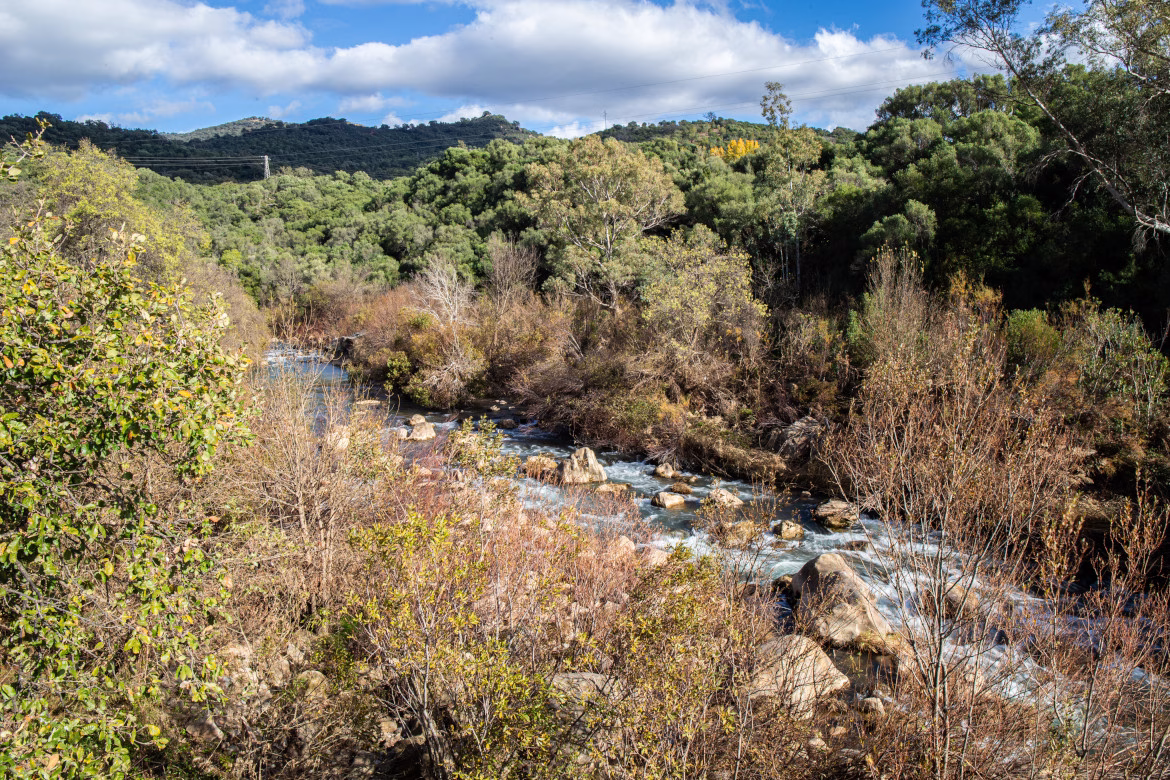 Hero Connecting Coast & Country