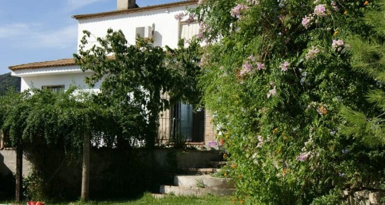 3 bed 2 bath & pool