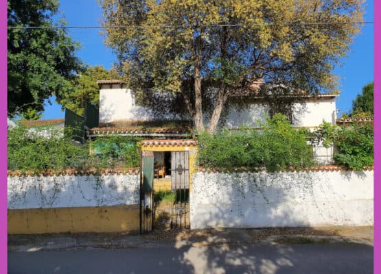 3 bed 2 bath San Pablo