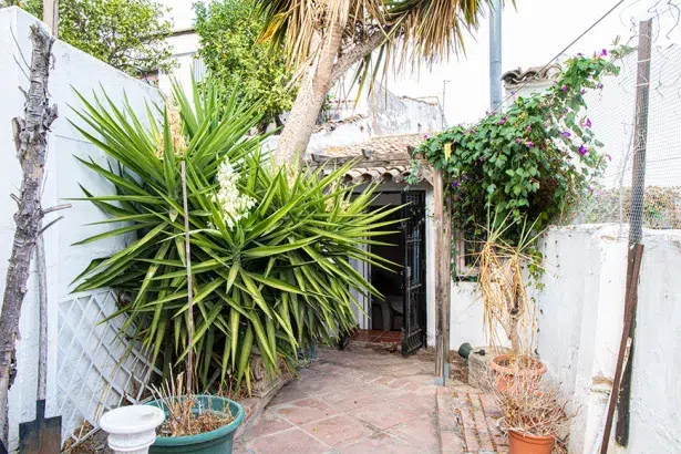 patio