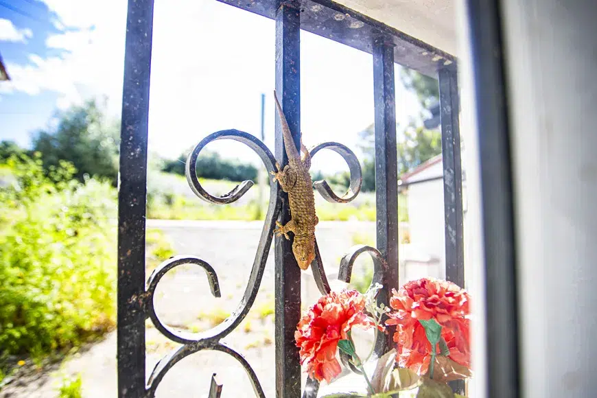 San Pablo Cortepizo bungalow