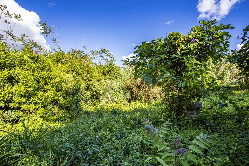 San Pablo Cortepizo bungalow