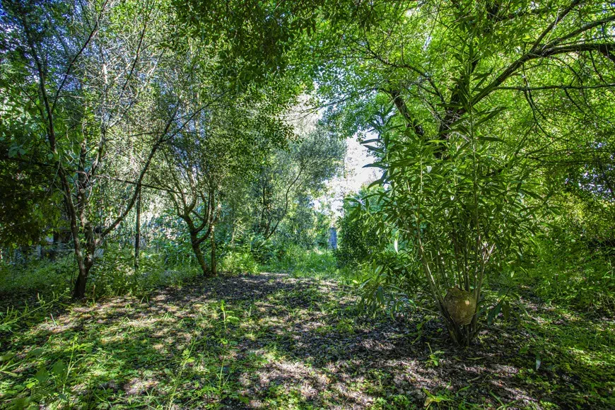 San Pablo Cortepizo bungalow