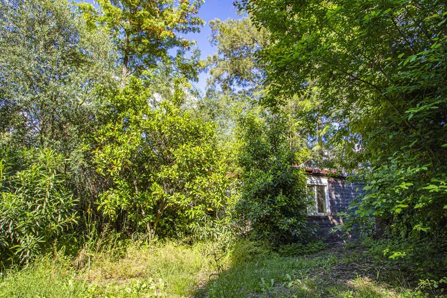 San Pablo Cortepizo bungalow