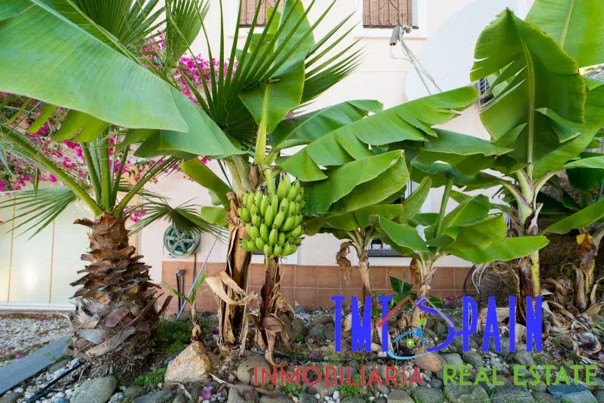 6 bed 6 bath Estepona