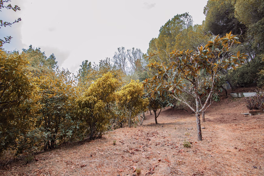 El Pinar Private Parkland 388,000€