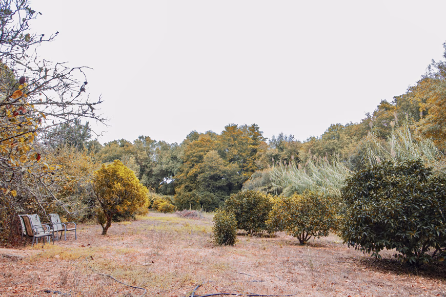 El Pinar Private Parkland 388,000€
