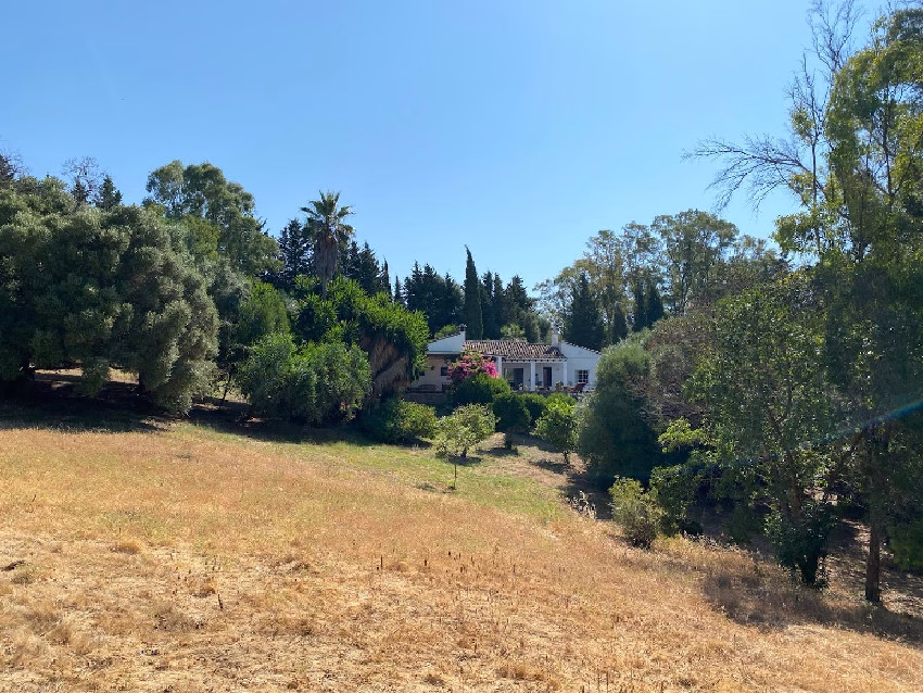 Finca Rustica Agila Jimena DLF