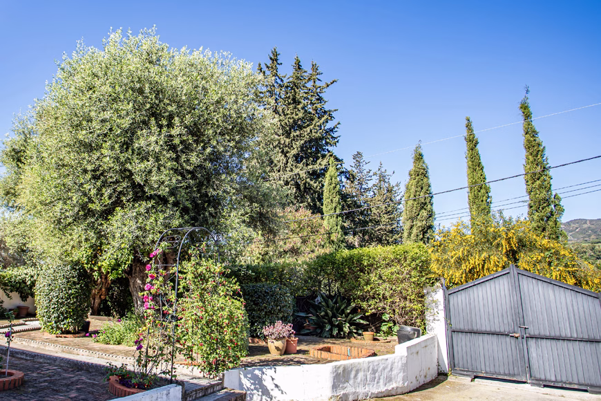 2 bed 2 bath 820 m2 plot San Pablo